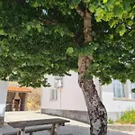 Casas Da Escola - 