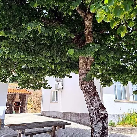 Casas Da Escola - 