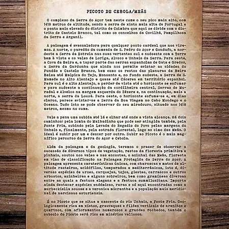 Casas Da Escola - 