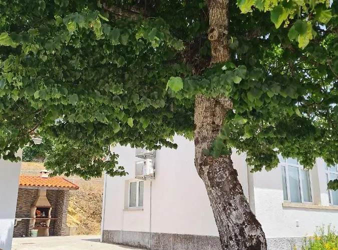 Casas Da Escola - 